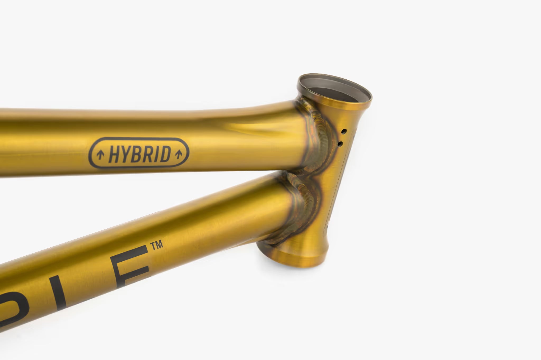 Utopia Hybrid Frame by Wethepeople