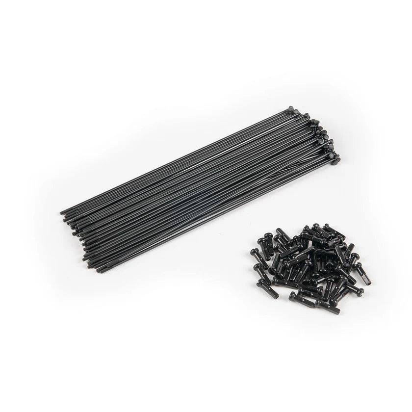 Eclat Pg Spokes Black