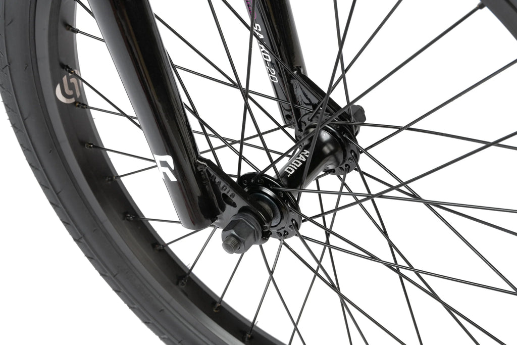 Saiko Complete 20  Bike by Radio Bikes
