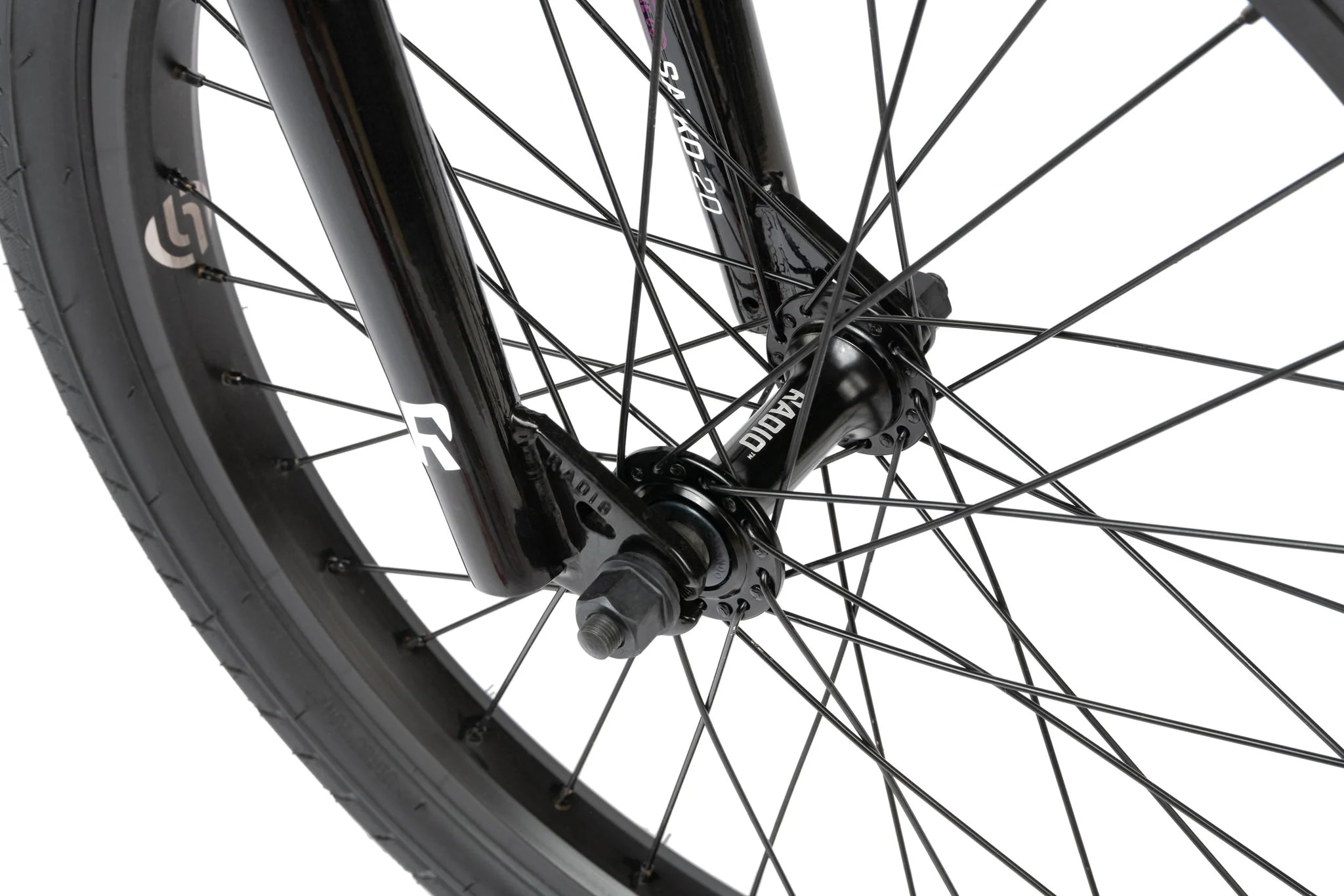 Saiko Complete 20  Bike by Radio Bikes