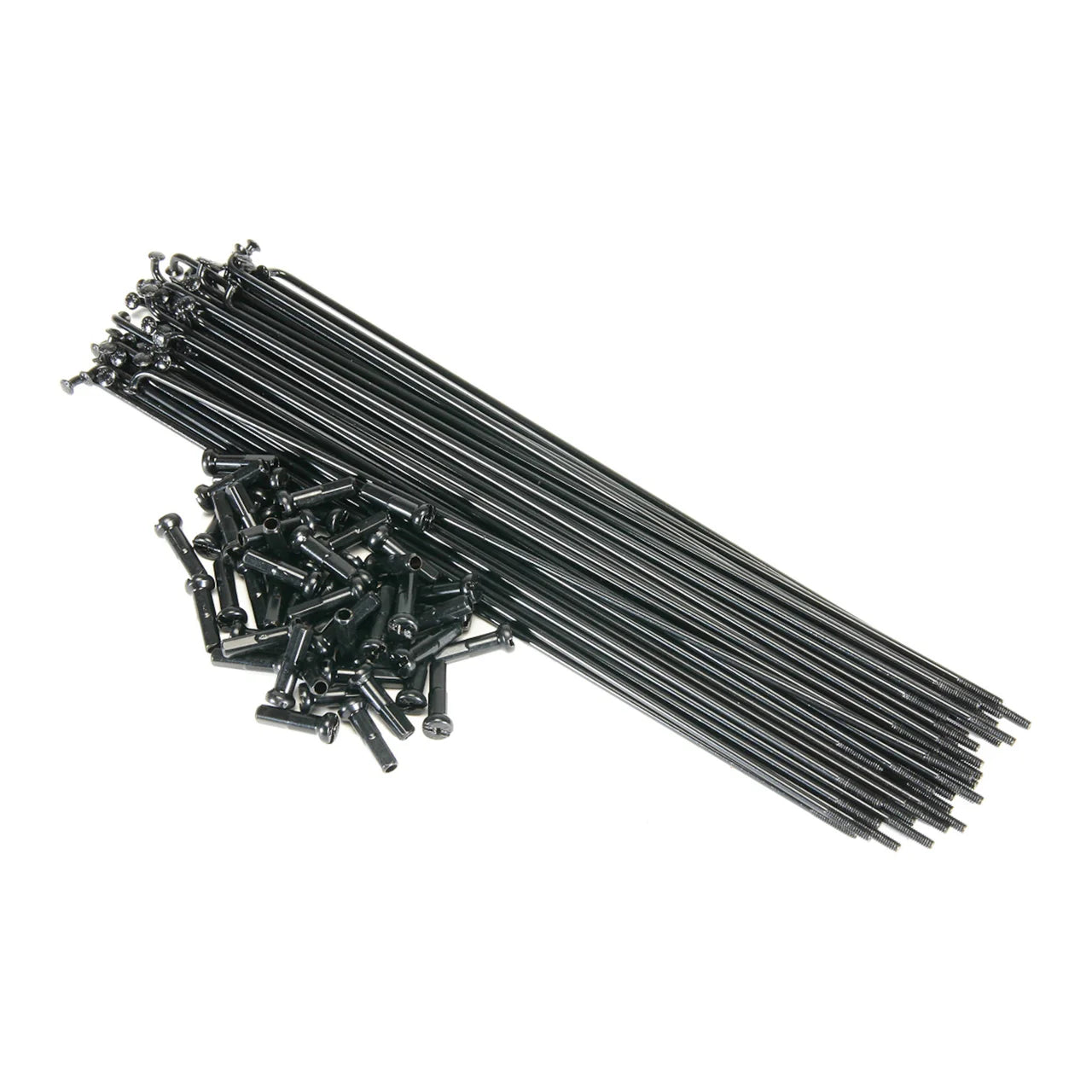Salt Pg Spokes