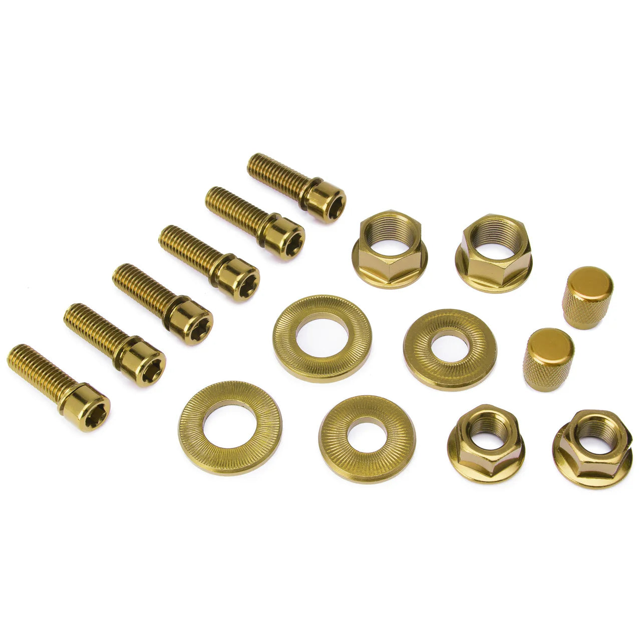 Salt Nut & Bolt