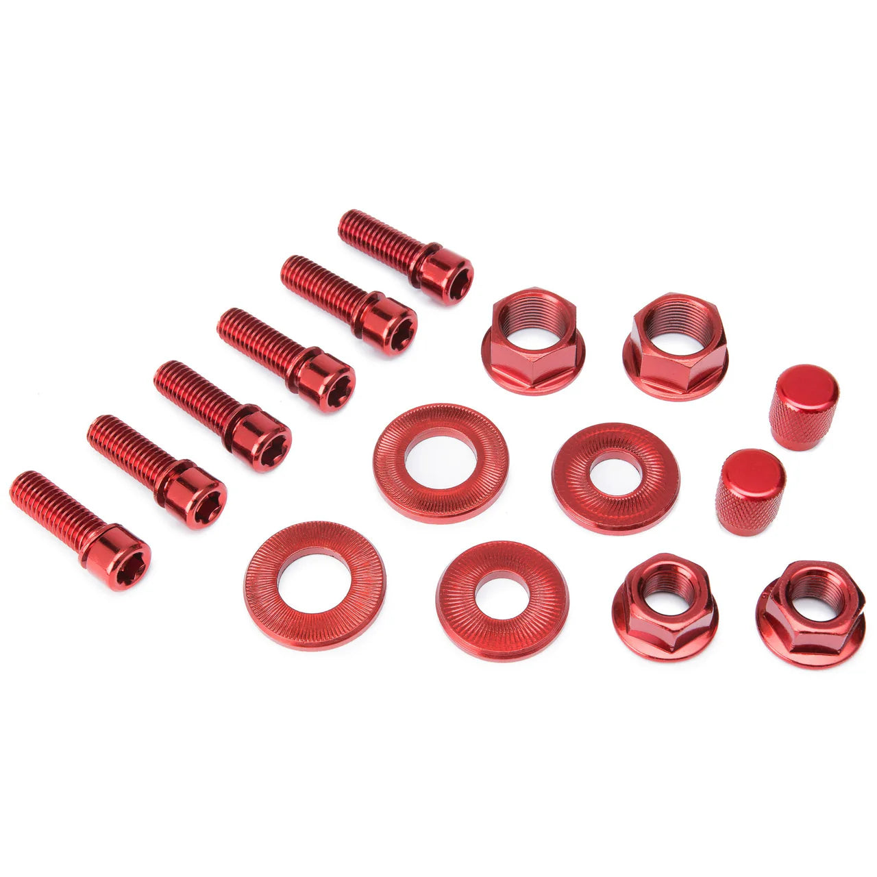 Salt Nut & Bolt